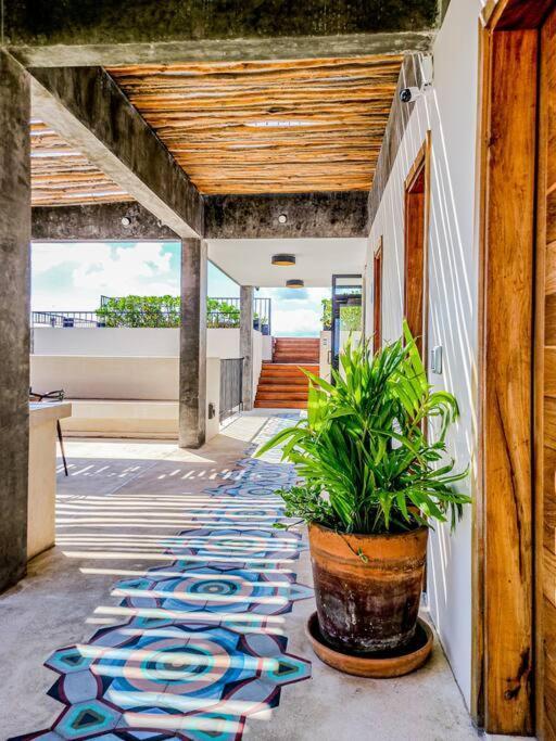 Hermoso Tranquilo Y Acogedor Moderno Apartamento Playa del Carmen